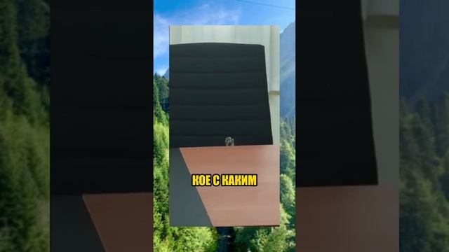 #вирусныевидео / Колбаса смысл моей жизни #юмор #приколы #смех #котики
