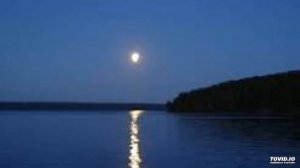 С. Слонимский "Белой Ночью"