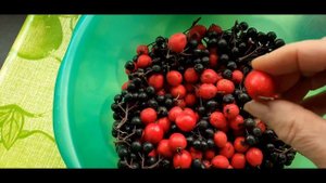 Закатка компотов с яблоками, боярышником и черноплодной рябины