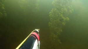 Подводная охота на Рефтинском водохранилище 2020.