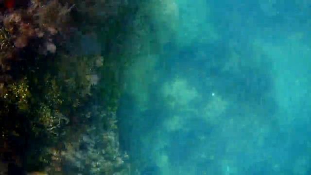 Что скрывается за Золотыми воротами Крыма смотреть онлайн