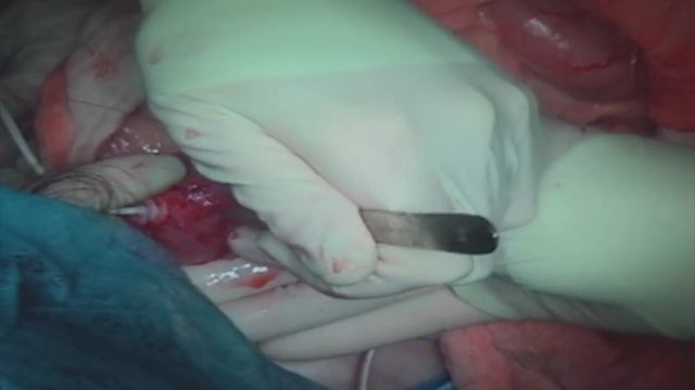 NORFOLK VET SUB TRAINING VIDEO 2015 смотреть онлайн