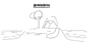 Эволюция - 5. Макроэволюция, часть 1. 10 - 11 класс