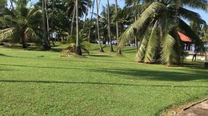 Отель Villa Ocean View 3*, Ваддува, Шри-Ланка, ноябрь 2019 года