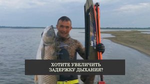 2-6 декабря увеличиваем задержку дыхания!