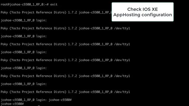 Cisco Catalyst 9300 with Application Hosting - iperf3 demo with front panel port connectivity смотреть онлайн