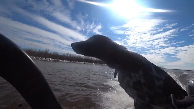 САМАЯ ЭКСТРЕМАЛЬНАЯ ВЕСЕННЯЯ ОХОТА!!! ПЯТЬ ДНЕЙ НА ВЕСЕННЕЙ ОХОТЕ!! ВЕСНОВКА 2022 GOOSE HUNTING 202 смотреть онлайн