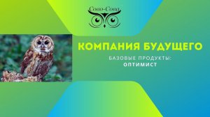Оптимист. СОВО-СОВА