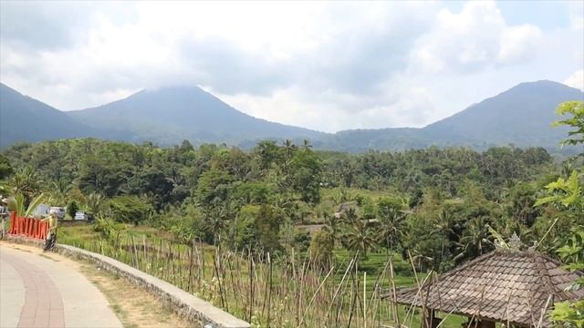 Бали 2019. 3 серия. Рисовые Террасы смотреть онлайн