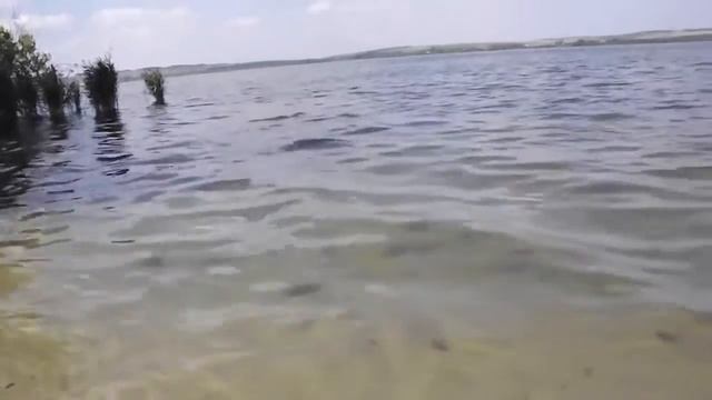 На разделительной косе Курчатовского водохранилища смотреть онлайн