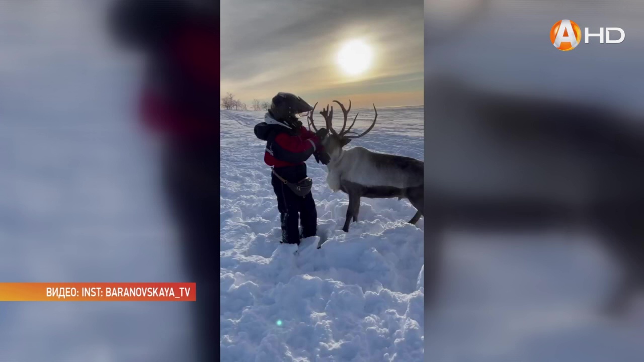 Российская телеведущая Юлия Барановская посетила Кольский полуостров.mp4