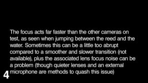 Sony Alpha 55 video quality