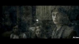 Гарри Поттер и Джинни Уизли - О нем