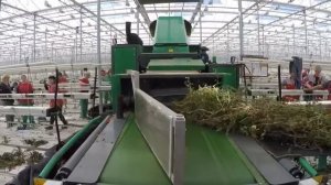 Измельчитель стеблей и растительных остатков для промышленных теплиц (био чоппер)