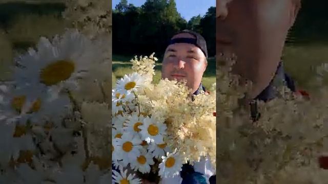 Как же красиво летом в поле и в лесу, очень много красивых ярких цветов, красота лесная как в сказк