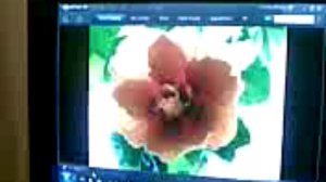 виновата ли я