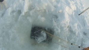 Ловим Бобра с женой!Снимаем сети