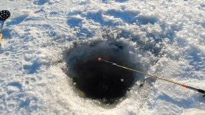 Зимняя рыбалка НА РОТАНА! Ловля РЫБЫ В - 20 ГРАДУСОВ МОРОЗА!
