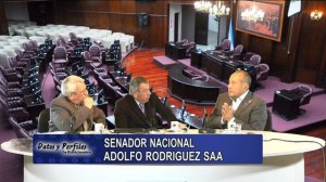 Adolfo Rodriguez Saa en Datos y Perfiles 7/6/2017