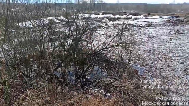 РУЗА ЗАДЫХАЕТСЯ!!! Почему в реках больная рыба.