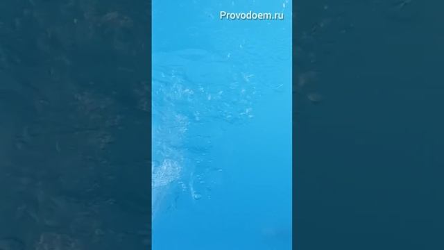 Мембранный компрессор для пруда (комплект) подходит для создания лунки зимой  #пруддлярыбы