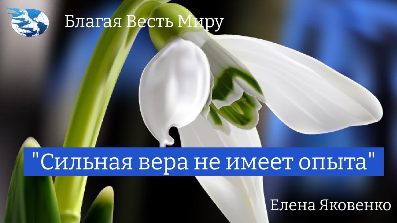 "Сильная вера не имеет опыта." / Елена Яковенко / 27.09.23