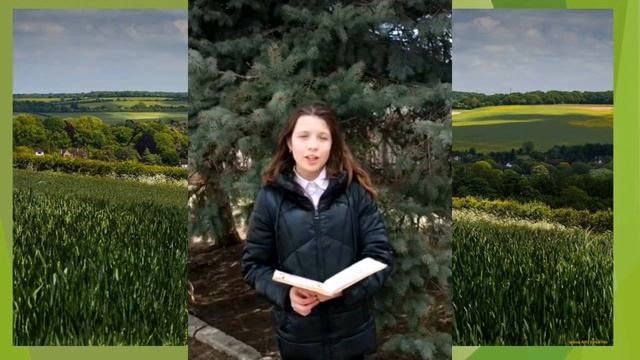 Стихи апшеронцев юных и взрослых. Часть 2 смотреть онлайн