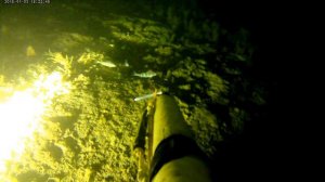 подводная охота в Бурятии рай для щуки