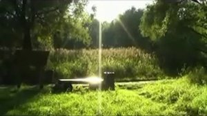 Г.Свиридов "Осень" из музыкальных иллюстраций к повести "Метель" А.Пушкина.
Автор ролика Л.Яблонская
