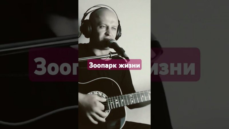 А. Топыркин - "Зоопарк жизни" #гитара #техникаигры #топыркин #жизнь