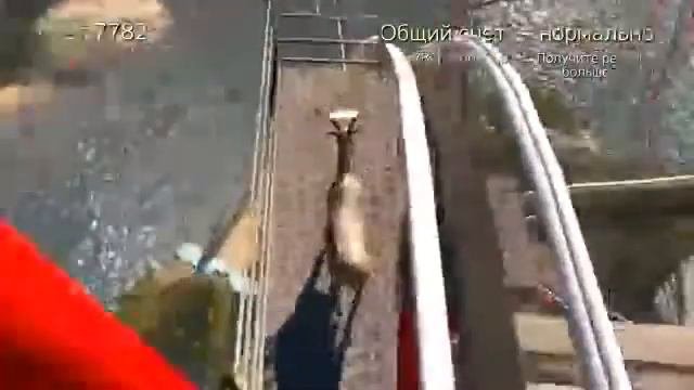 Казел