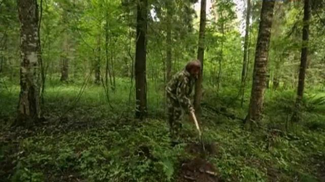 15. Рейтинг Баженова. Могло быть хуже. Игра с огнём