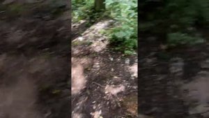 Почему влажные салфетки - зло?