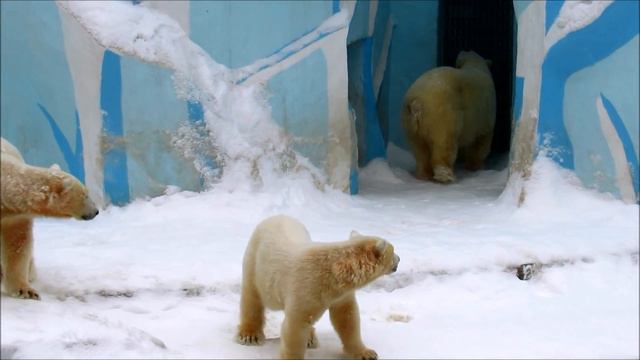 Герду что-то встревожило вечером. 05.03.20 г. смотреть онлайн