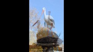 Гнездо для аиста своими руками