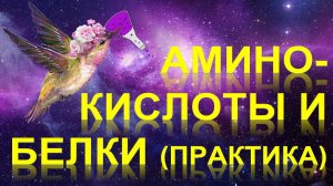 64. Аминокислоты и Белки (практика)