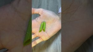 Как сделать светильник с рыбками своими руками   Фабрика изобретений