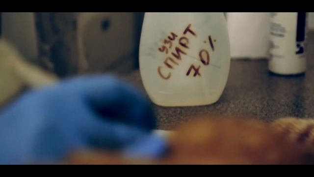 Сеть Ветеринарных клиник Котонай