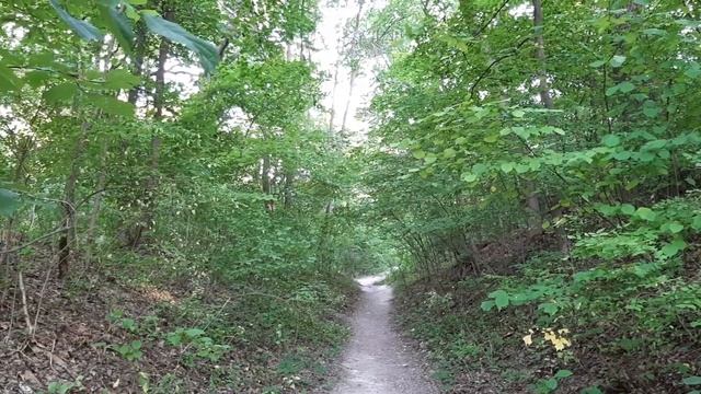 Ты слышишь ? Я Господь люблю тебя Одесса ! смотреть онлайн