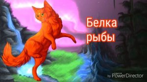 Гороскоп котов - воителей по знакам зодиака.??