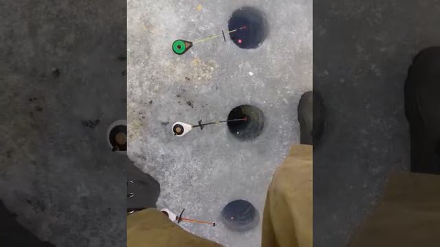 Обзор зимней палатки Элит 3_ч.2 смотреть онлайн