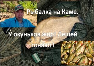 Рыбалка на Каме. ( У окуньков жор! Лещей гоняют!)