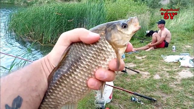 УВЛЕКАТЕЛЬНАЯ РЫБАЛКА НА ПЕСЧАНОМ КАРЬЕРЕ. ЛОВЛЯ ОТЛИЧНЫХ , БОЛЬШИХ КАРАСЕЙ. смотреть онлайн