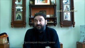 Как бороться с гневом? о. Андрей Ткачев. Елицы