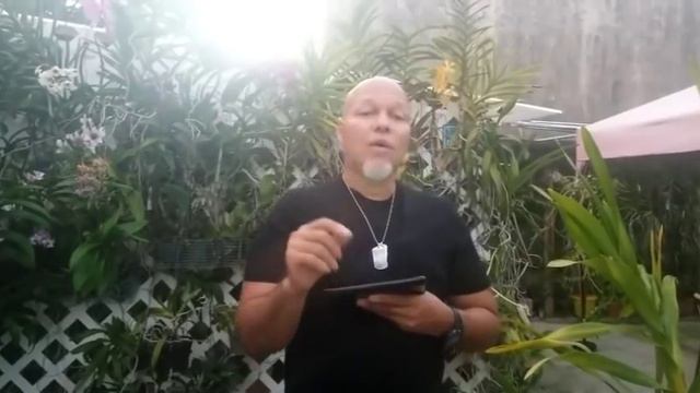 Boot Camp 0026: Vandaceas tesellata смотреть онлайн