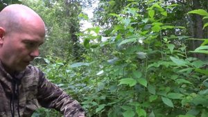 Ява 634, Ява 638.
Как завести Яву 6 вольт с разряженым аккумулятором в лесу, мото прогулка.