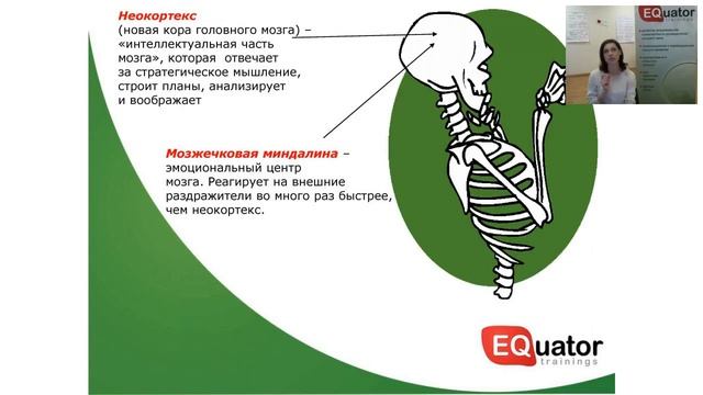 Вебинар "Эмоциональный интеллект ребенка: Зачем? Что? Как?" смотреть онлайн