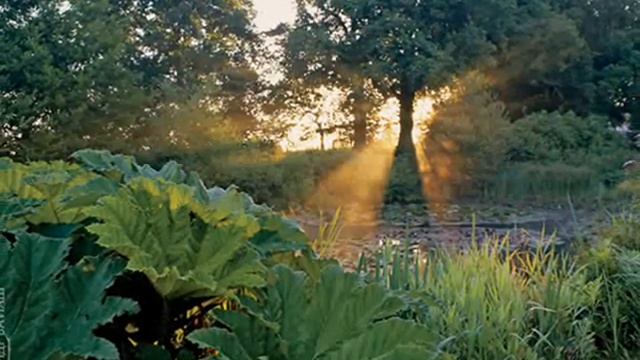 Сад Грейт-Дикстер в Англии. смотреть онлайн