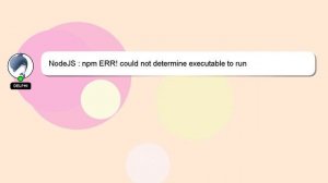 NodeJS : npm ERR! could not determine executable to run