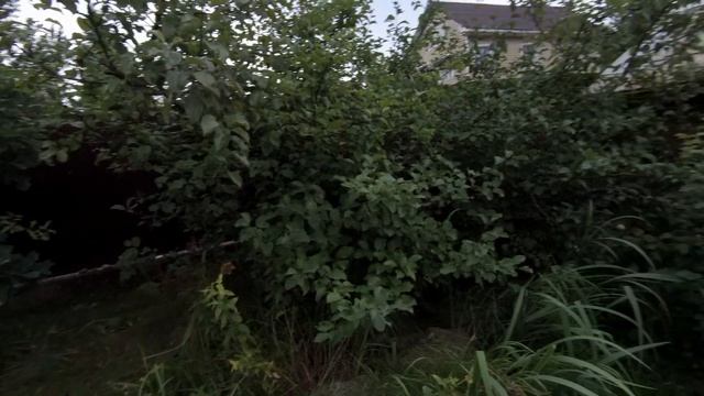 День Рождения 12.08.21 дача Лейпясуо смотреть онлайн